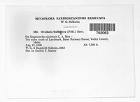 Image Associated With the Occurence